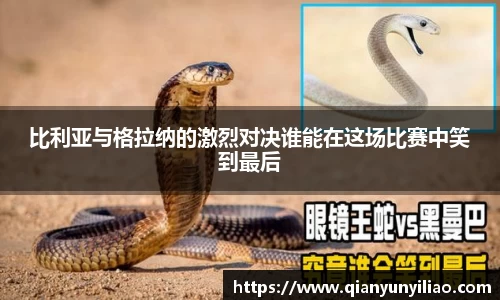江南体育官方平台