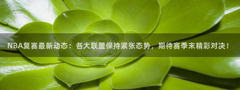 NBA复赛最新动态：各大联盟保持紧张态势，期待赛季末精彩对决！