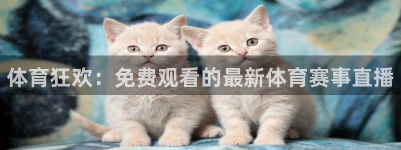 体育狂欢：免费观看的最新体育赛事直播