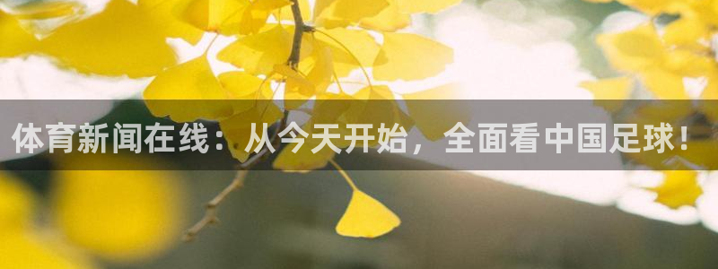 体育新闻在线：从今天开始，全面看中国足球！