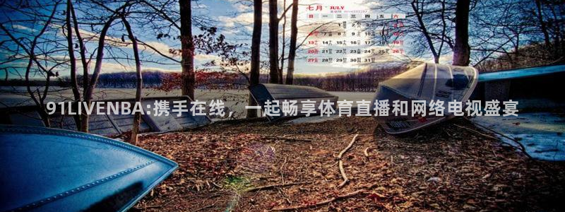91LIVENBA:携手在线，一起畅享体育直播和网络电视盛宴