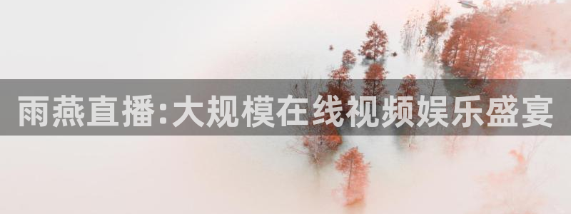 雨燕直播:大规模在线视频娱乐盛宴