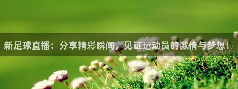 新足球直播：分享精彩瞬间，见证运动员的激情与梦想！