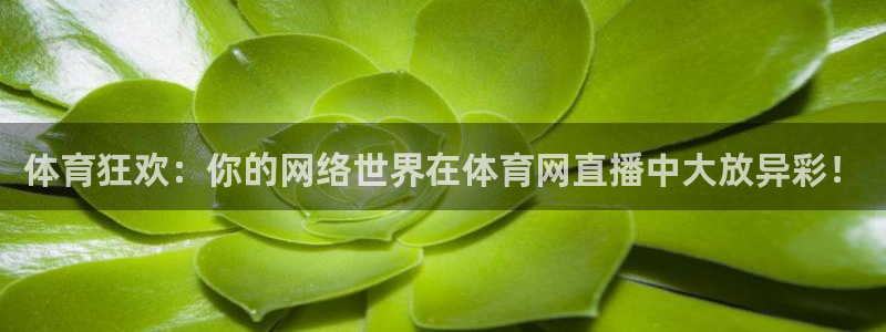 体育狂欢：你的网络世界在体育网直播中大放异彩！
