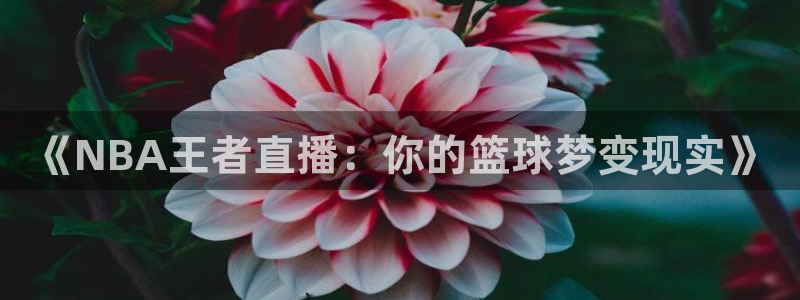 《NBA王者直播：你的篮球梦变现实》