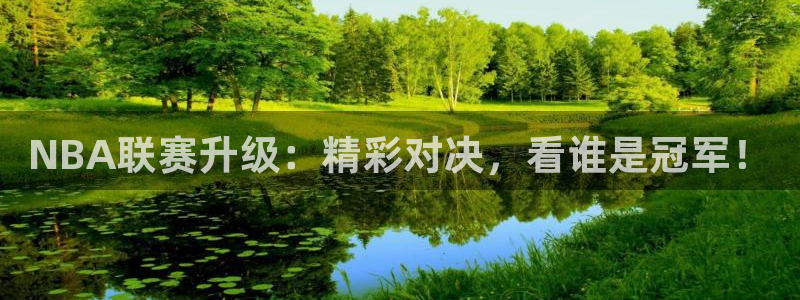 NBA联赛升级：精彩对决，看谁是冠军！