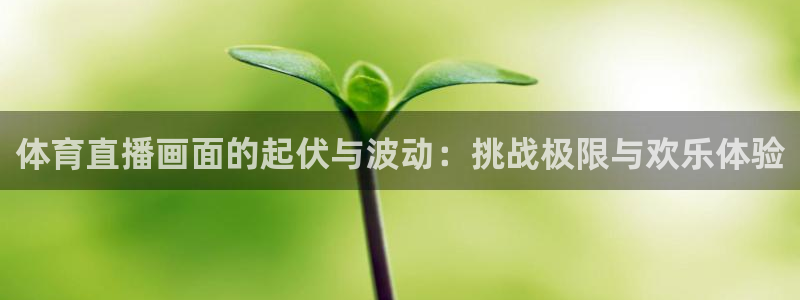 体育直播画面的起伏与波动：挑战极限与欢乐体验
