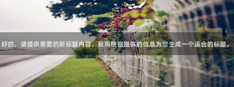 好的，请提供需要的新标题内容，我将根据提供的信息为您生成一个适合的标题。