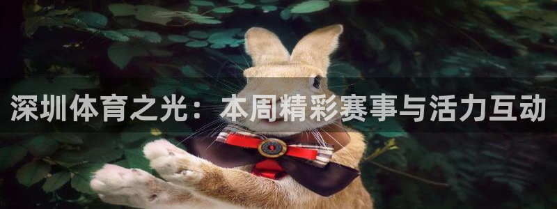 深圳体育之光：本周精彩赛事与活力互动