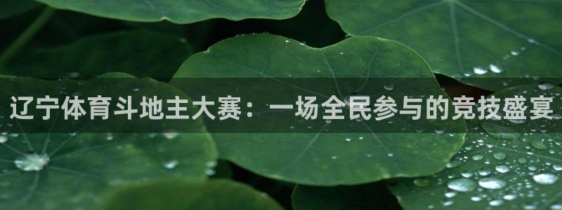 辽宁体育斗地主大赛：一场全民参与的竞技盛宴