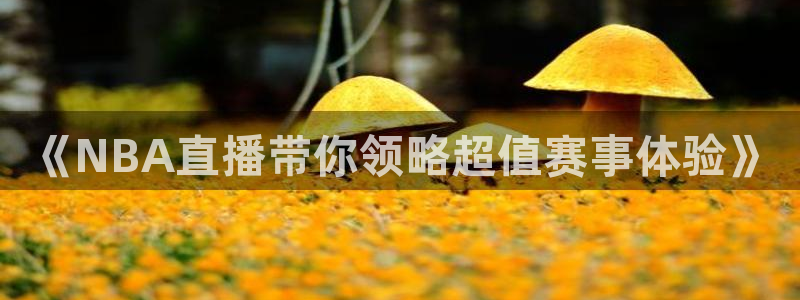 《NBA直播带你领略超值赛事体验》
