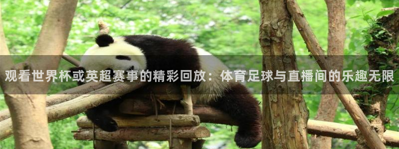 观看世界杯或英超赛事的精彩回放：体育足球与直播间的乐趣无限