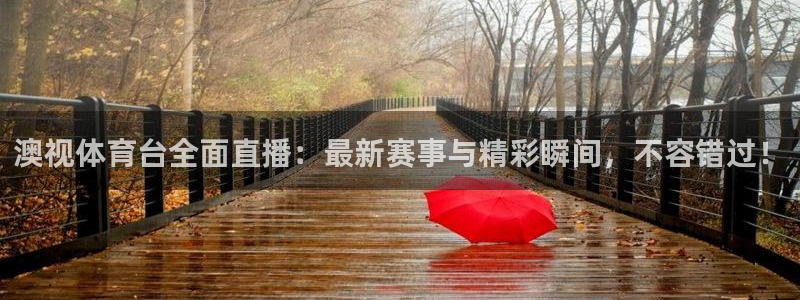 澳视体育台全面直播：最新赛事与精彩瞬间，不容错过！