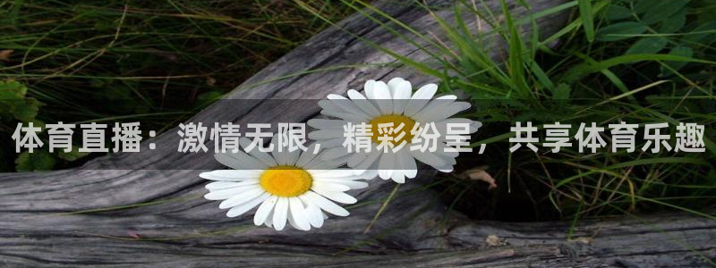 体育直播：激情无限，精彩纷呈，共享体育乐趣