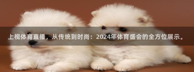 上视体育直播，从传统到时尚：2024年体育盛会的全方位展示。