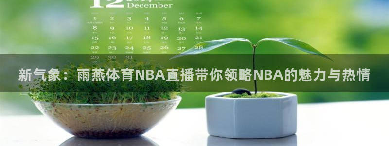 新气象：雨燕体育NBA直播带你领略NBA的魅力与热情