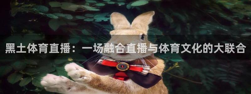 黑土体育直播：一场融合直播与体育文化的大联合