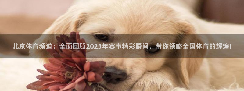 北京体育频道：全面回顾2023年赛事精彩瞬间，带你领略全国体育的辉煌!