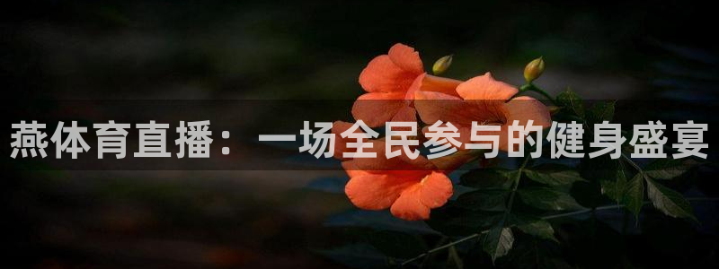 燕体育直播：一场全民参与的健身盛宴