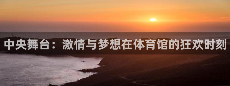 中央舞台：激情与梦想在体育馆的狂欢时刻