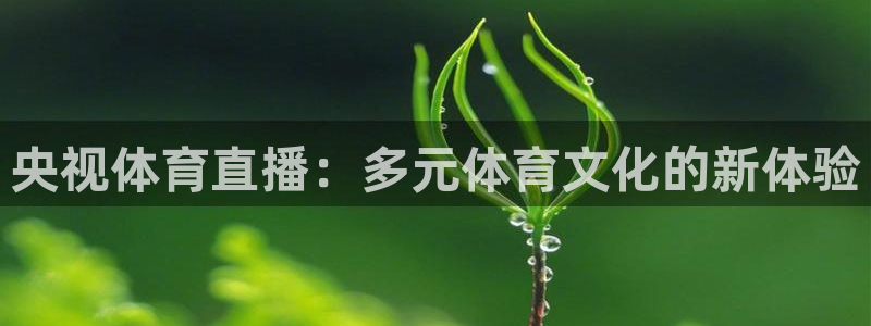 央视体育直播：多元体育文化的新体验