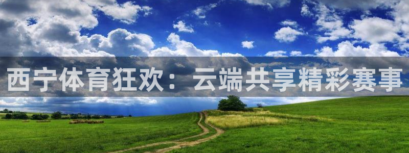 西宁体育狂欢：云端共享精彩赛事
