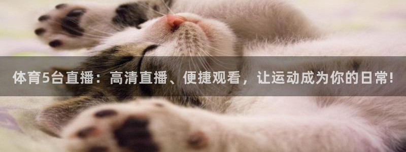 体育5台直播：高清直播、便捷观看，让运动成为你的日常!
