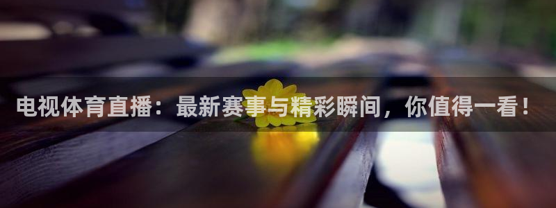 电视体育直播：最新赛事与精彩瞬间，你值得一看！