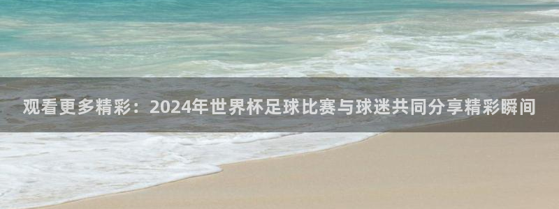 观看更多精彩：2024年世界杯足球比赛与球迷共同分享精彩瞬间