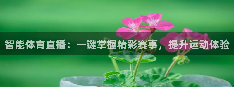 智能体育直播：一键掌握精彩赛事，提升运动体验