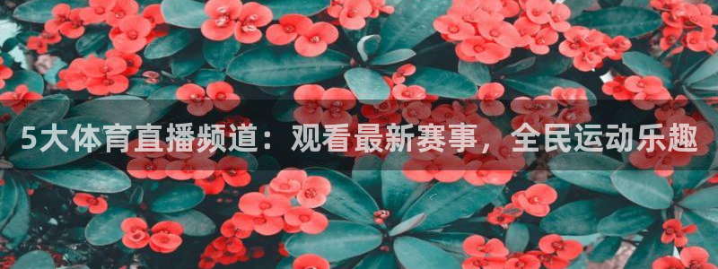 5大体育直播频道：观看最新赛事，全民运动乐趣