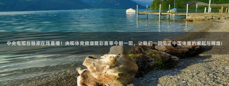 中央电视台独家在线直播！央视体育频道精彩赛事今朝一现，让我们一同见证中国体育的崛起与辉煌!