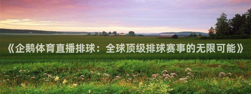 《企鹅体育直播排球：全球顶级排球赛事的无限可能》