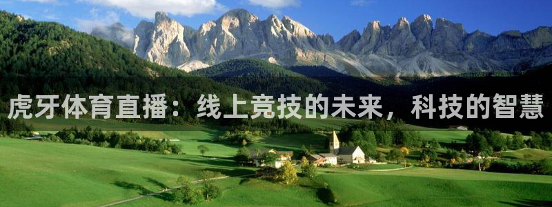虎牙体育直播：线上竞技的未来，科技的智慧