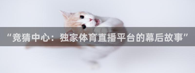 “竞猜中心：独家体育直播平台的幕后故事”
