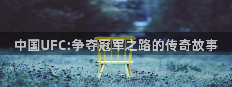 中国UFC:争夺冠军之路的传奇故事