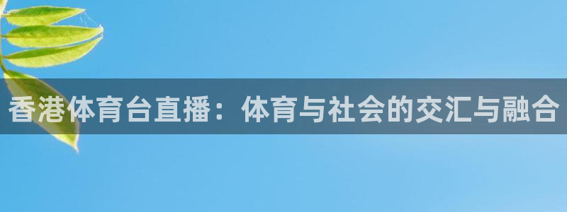 香港体育台直播：体育与社会的交汇与融合
