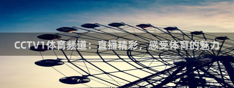 CCTV1体育频道：直播精彩，感受体育的魅力