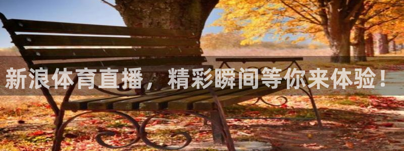新浪体育直播，精彩瞬间等你来体验！
