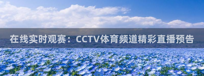 在线实时观赛：CCTV体育频道精彩直播预告