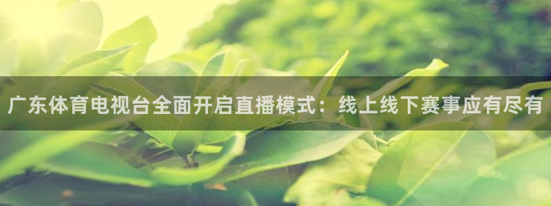 广东体育电视台全面开启直播模式：线上线下赛事应有尽有
