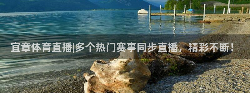 宜章体育直播|多个热门赛事同步直播，精彩不断！