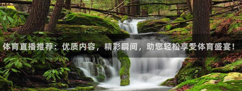 体育直播推荐：优质内容，精彩瞬间，助您轻松享受体育盛宴！
