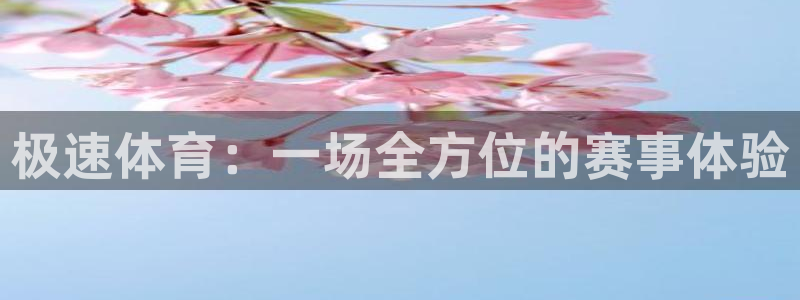 极速体育：一场全方位的赛事体验