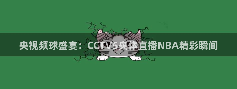 央视频球盛宴：CCTV5央体直播NBA精彩瞬间