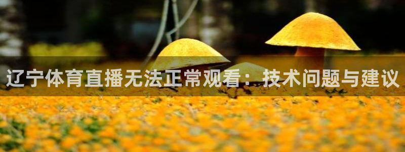 辽宁体育直播无法正常观看：技术问题与建议