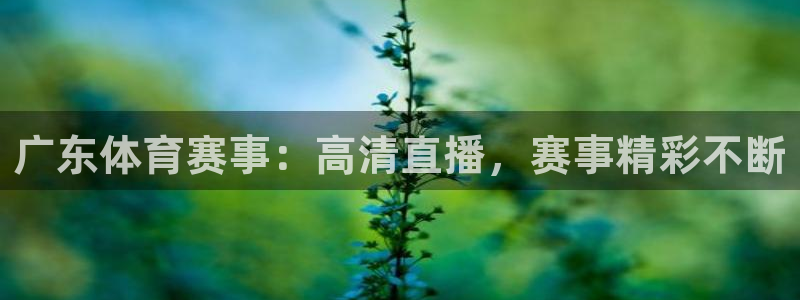 广东体育赛事：高清直播，赛事精彩不断