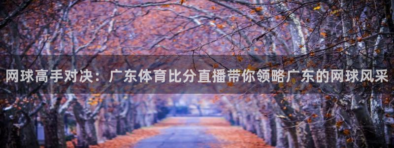 网球高手对决：广东体育比分直播带你领略广东的网球风采