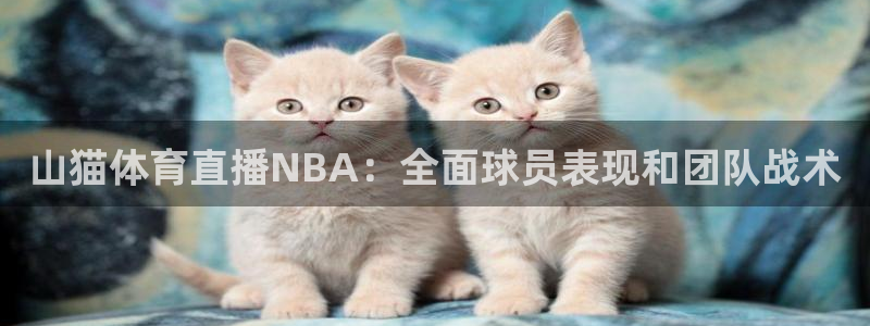 山猫体育直播NBA：全面球员表现和团队战术