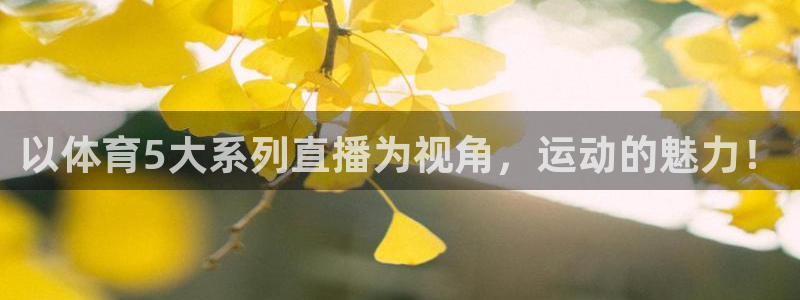 以体育5大系列直播为视角，运动的魅力！